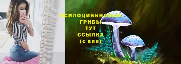 сатива Алексеевка