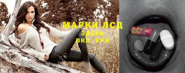 сатива Алексеевка